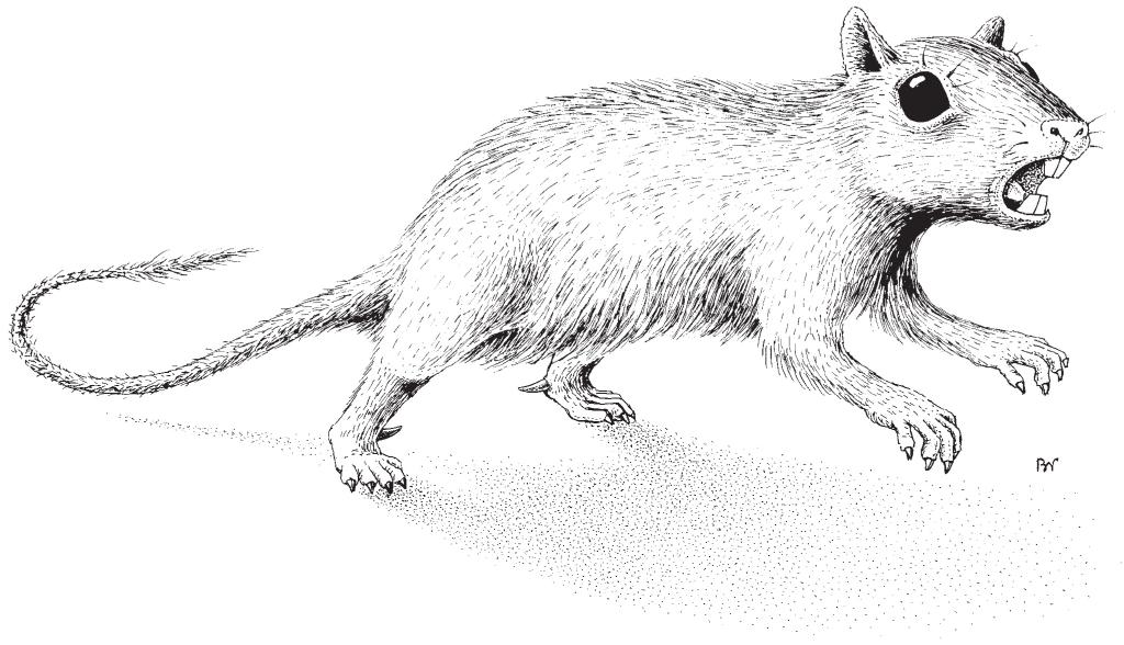 Catopsbaatar Catopsbaatar